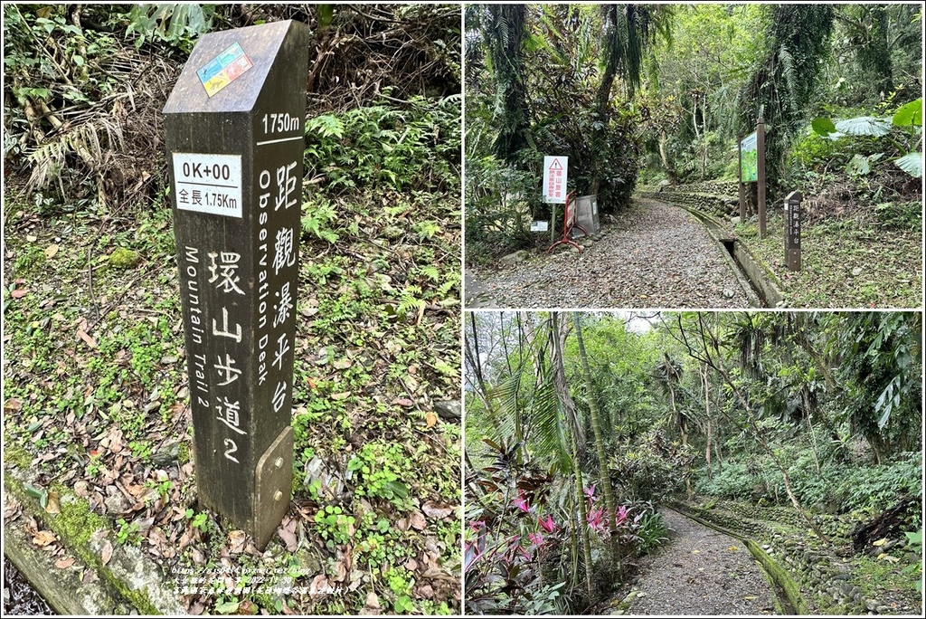 富源國家森林遊樂園(花蓮蝴蝶谷溫泉渡假村)-2022-11-176.jpg