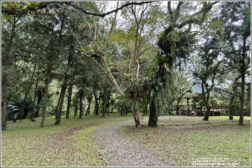 富源國家森林遊樂園(花蓮蝴蝶谷溫泉渡假村)-2022-11-180.jpg