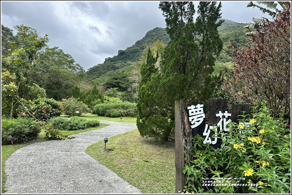 富源國家森林遊樂園(花蓮蝴蝶谷溫泉渡假村)-2022-11-185.jpg