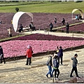 桃園花彩節-楊梅仙草花節-2022-12-39.jpg