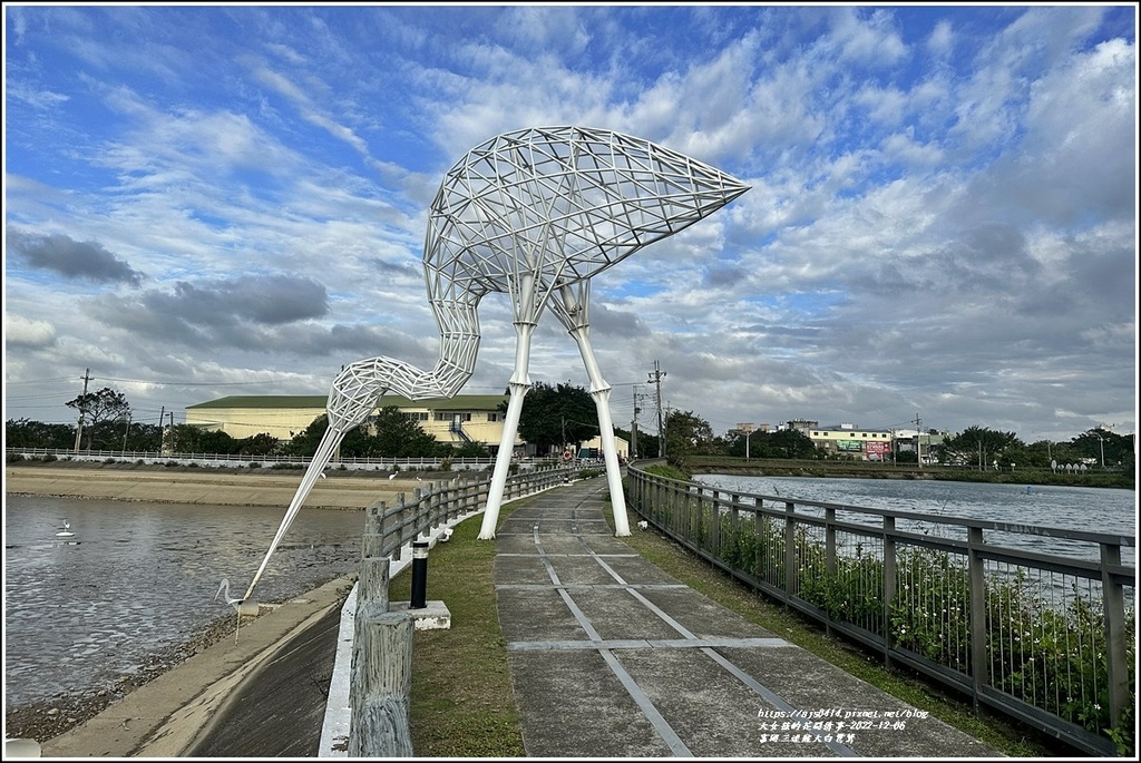 富岡三連陂大白鷺鷥-2022-12-08.jpg