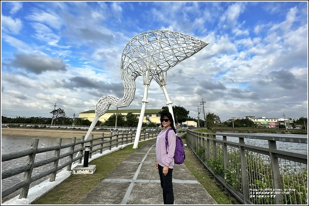 富岡三連陂大白鷺鷥-2022-12-10.jpg