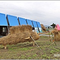 富里鄉農會稻草藝術季-動物迷蹤之海底世界-2023-01-19.jpg