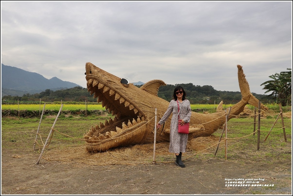 富里鄉農會稻草藝術季-動物迷蹤之海底世界-2023-01-34.jpg