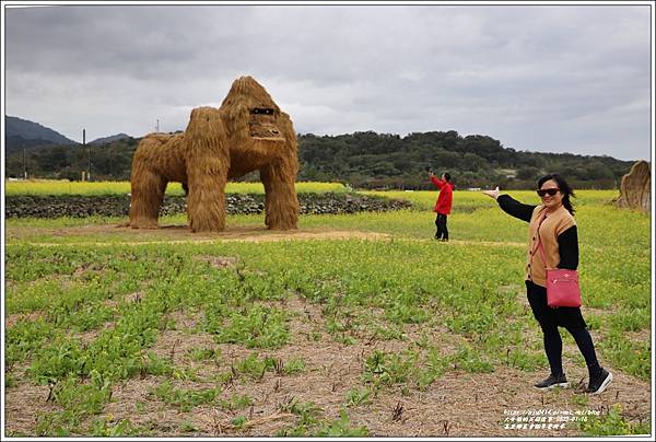 富里鄉農會稻草藝術季-動物迷蹤之海底世界-2023-01-146.jpg