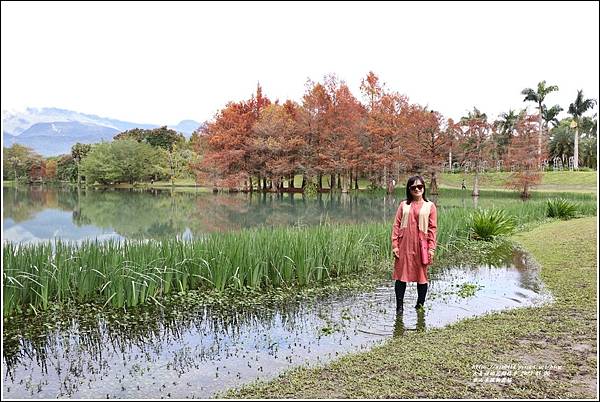 雲山水植物農場-2023-01-02.jpg