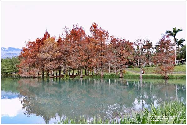 雲山水植物農場-2023-01-09.jpg