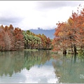 雲山水植物農場-2023-01-29.jpg