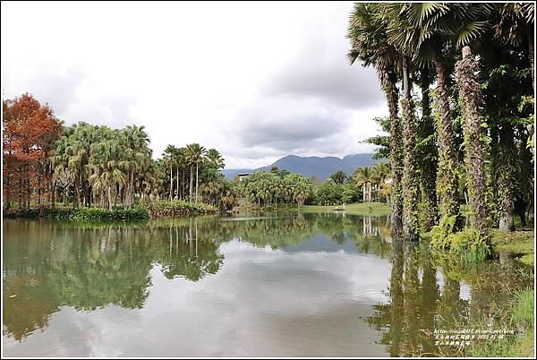 雲山水植物農場-2023-01-36.jpg