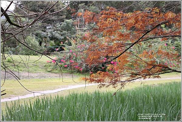 雲山水植物農場-2023-01-50.jpg