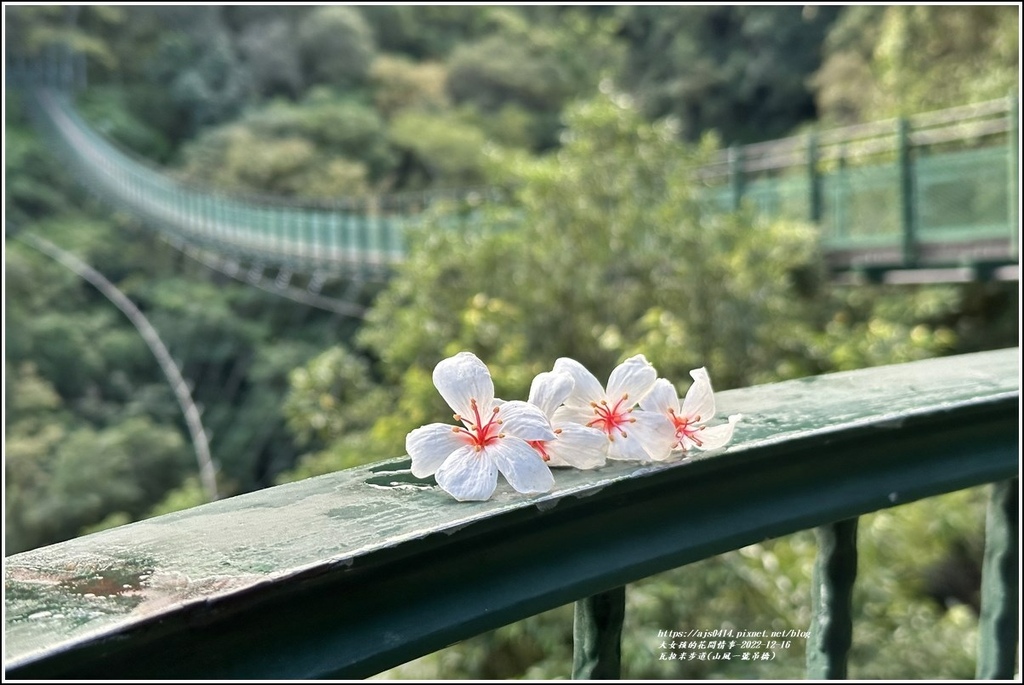 瓦拉米步道-2022-12-34.jpg 瓦拉米步道-2022-12-34.jpg