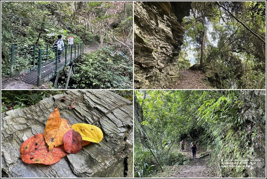 瓦拉米步道-2022-12-37.jpg 瓦拉米步道-2022-12-37.jpg