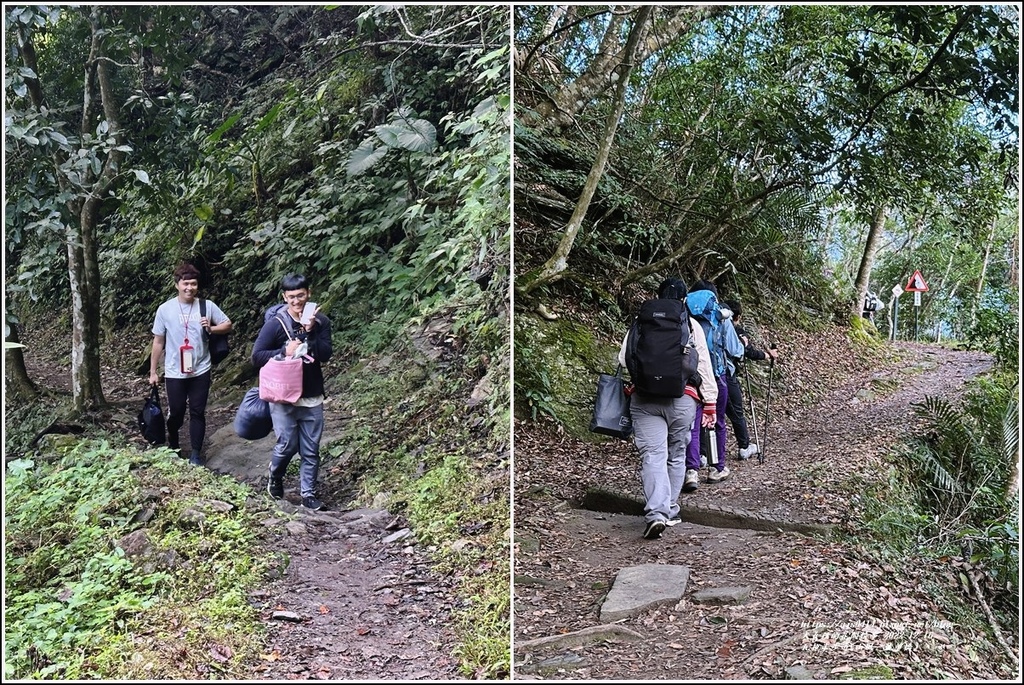 瓦拉米步道-2022-12-38.jpg 瓦拉米步道-2022-12-38.jpg