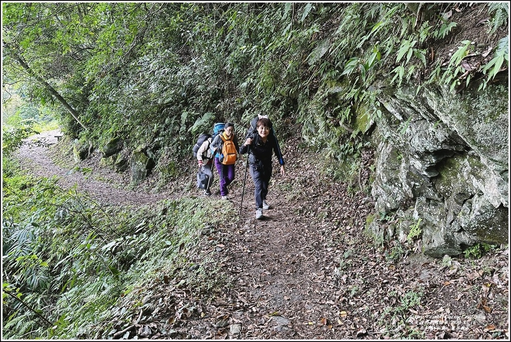 瓦拉米步道-2022-12-49.jpg 瓦拉米步道-2022-12-49.jpg