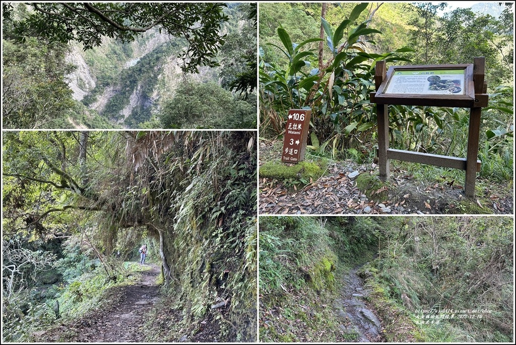 瓦拉米步道-2022-12-55.jpg 瓦拉米步道-2022-12-55.jpg