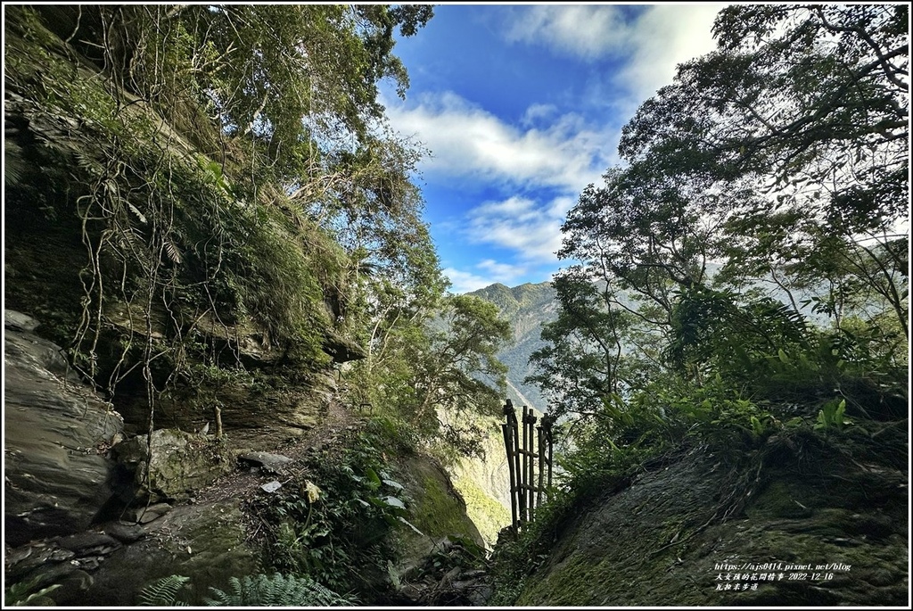 瓦拉米步道-2022-12-57.jpg 瓦拉米步道-2022-12-57.jpg