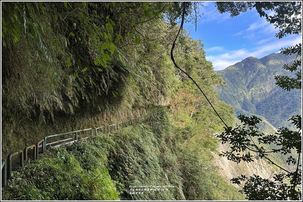 瓦拉米步道-2022-12-59.jpg 瓦拉米步道-2022-12-59.jpg