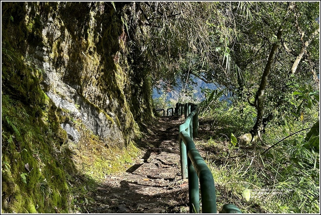 瓦拉米步道-2022-12-61.jpg 瓦拉米步道-2022-12-61.jpg