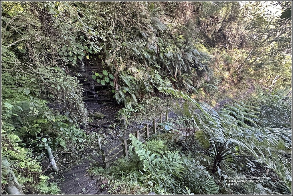 瓦拉米步道-2022-12-63.jpg 瓦拉米步道-2022-12-63.jpg