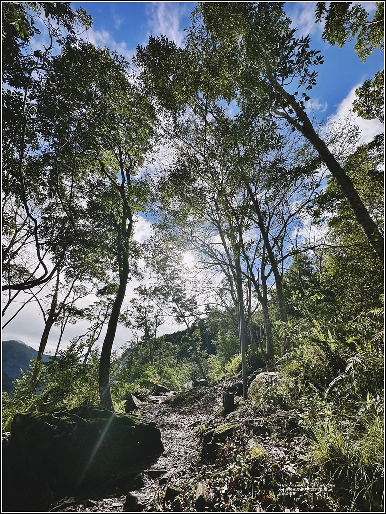 瓦拉米步道-2022-12-64.jpg 瓦拉米步道-2022-12-64.jpg