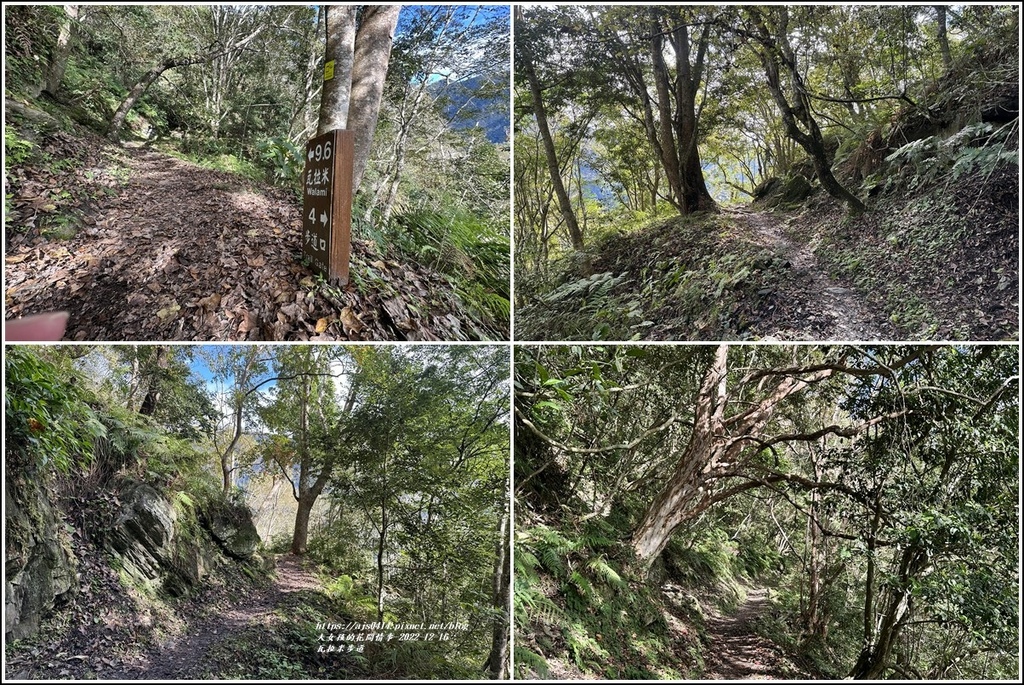 瓦拉米步道-2022-12-66.jpg 瓦拉米步道-2022-12-66.jpg