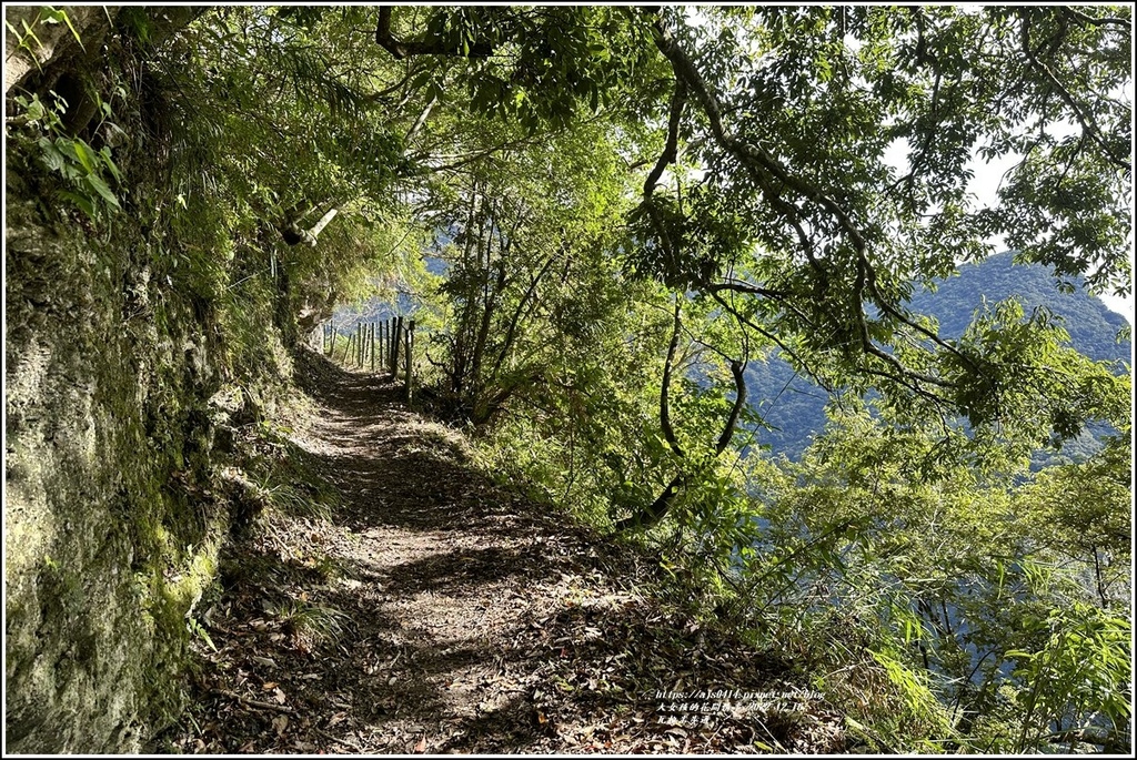 瓦拉米步道-2022-12-68.jpg 瓦拉米步道-2022-12-68.jpg