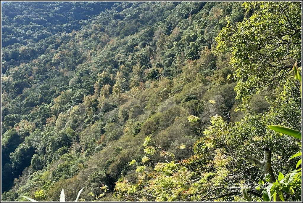 瓦拉米步道-2022-12-74.jpg 瓦拉米步道-2022-12-74.jpg