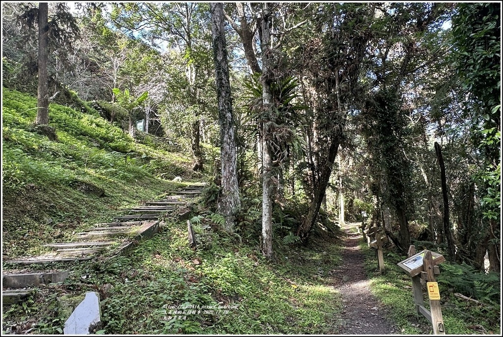 瓦拉米步道-2022-12-83.jpg 瓦拉米步道-2022-12-83.jpg