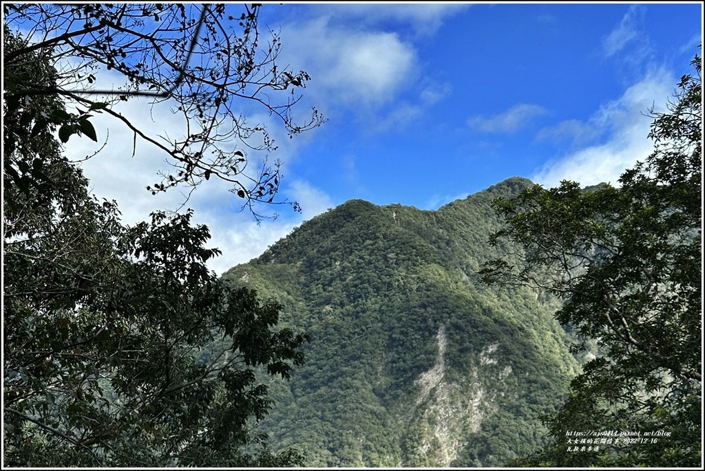 瓦拉米步道-2022-12-86.jpg 瓦拉米步道-2022-12-86.jpg