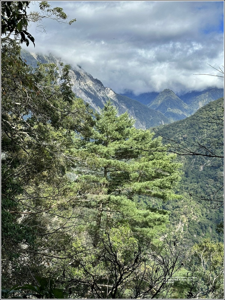 瓦拉米步道-2022-12-89.jpg 瓦拉米步道-2022-12-89.jpg