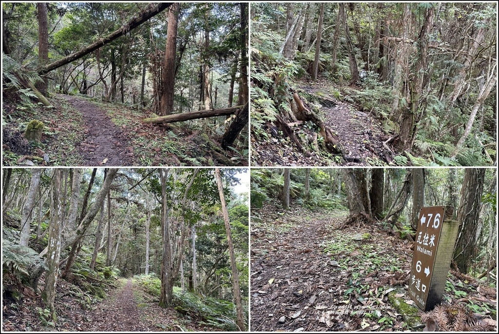 瓦拉米步道-2022-12-90.jpg 瓦拉米步道-2022-12-90.jpg