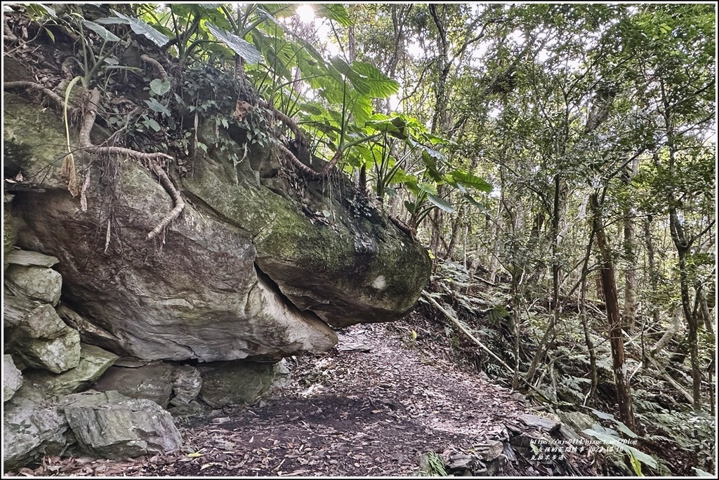 瓦拉米步道-2022-12-91.jpg 瓦拉米步道-2022-12-91.jpg