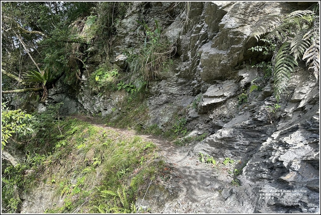 瓦拉米步道-2022-12-96.jpg 瓦拉米步道-2022-12-96.jpg