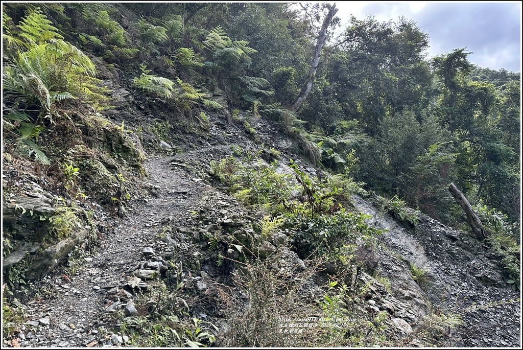 瓦拉米步道-2022-12-99.jpg 瓦拉米步道-2022-12-99.jpg