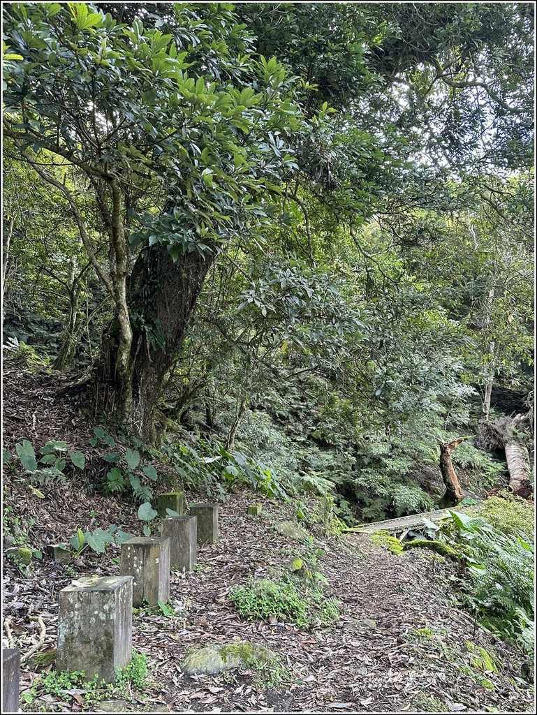 瓦拉米步道-2022-12-103.jpg 瓦拉米步道-2022-12-103.jpg