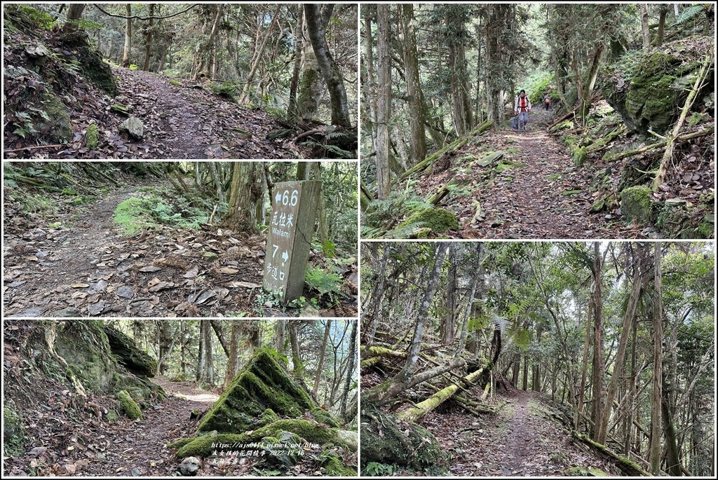 瓦拉米步道-2022-12-106.jpg 瓦拉米步道-2022-12-106.jpg