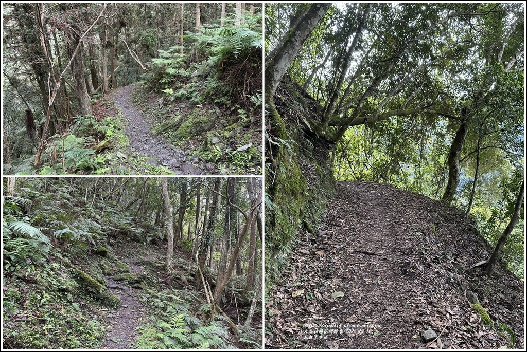 瓦拉米步道-2022-12-107.jpg 瓦拉米步道-2022-12-107.jpg