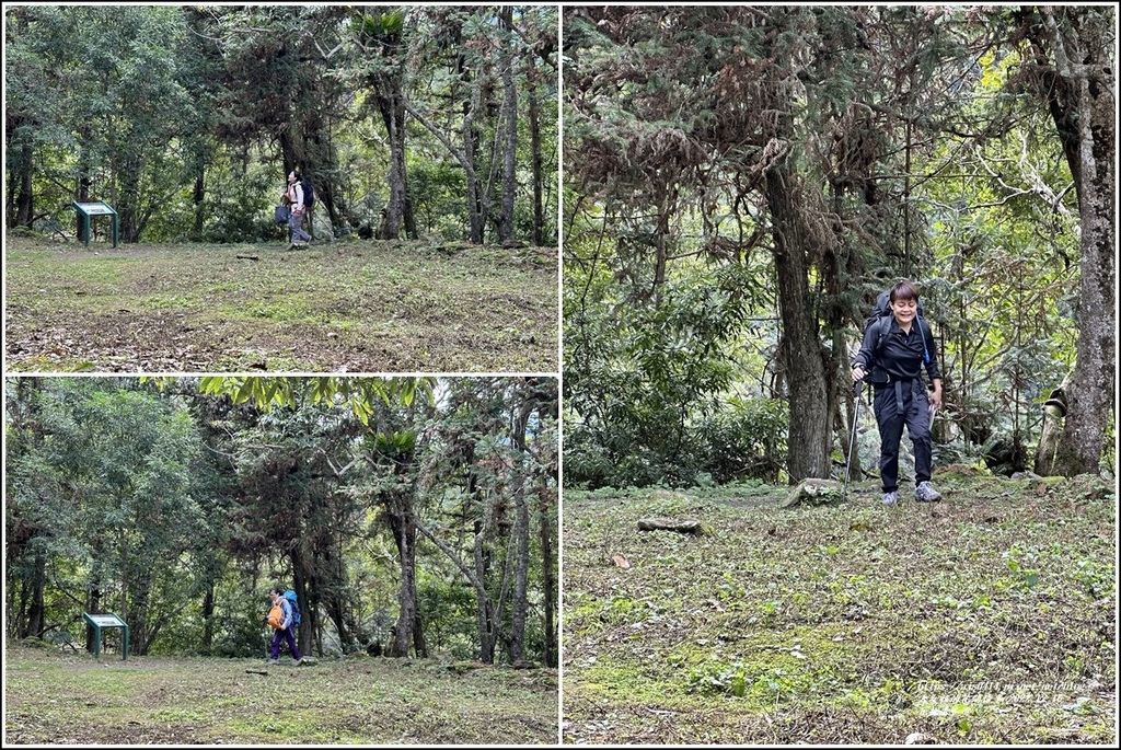 瓦拉米步道-2022-12-113.jpg 瓦拉米步道-2022-12-113.jpg