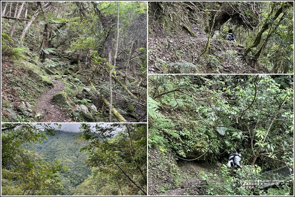 瓦拉米步道-2022-12-116.jpg 瓦拉米步道-2022-12-116.jpg