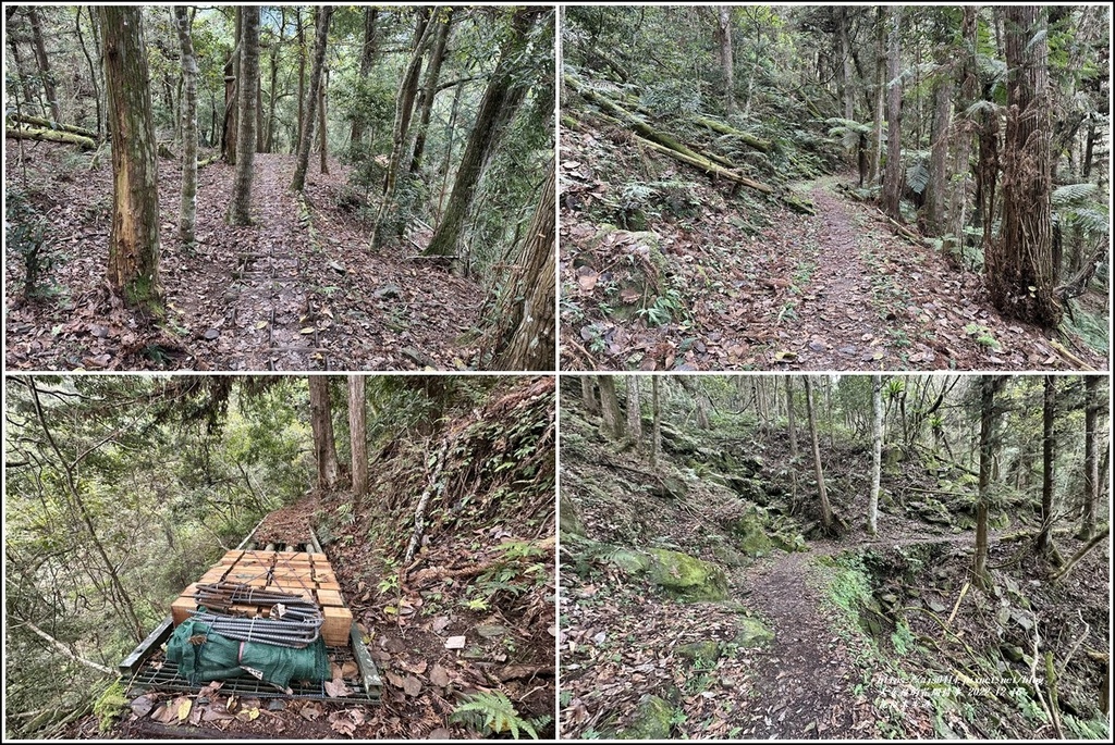 瓦拉米步道-2022-12-119.jpg 瓦拉米步道-2022-12-119.jpg