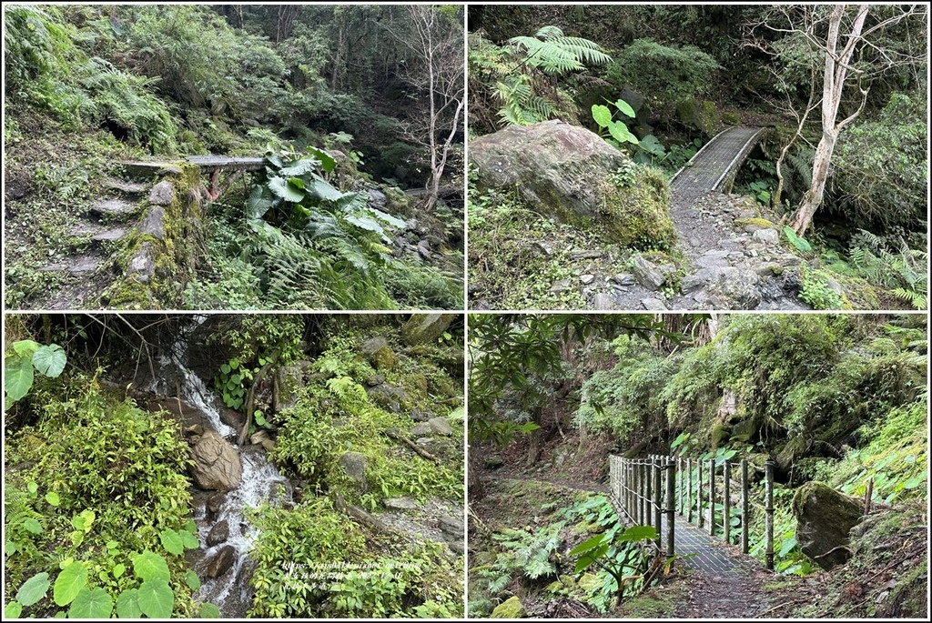 瓦拉米步道-2022-12-118.jpg 瓦拉米步道-2022-12-118.jpg