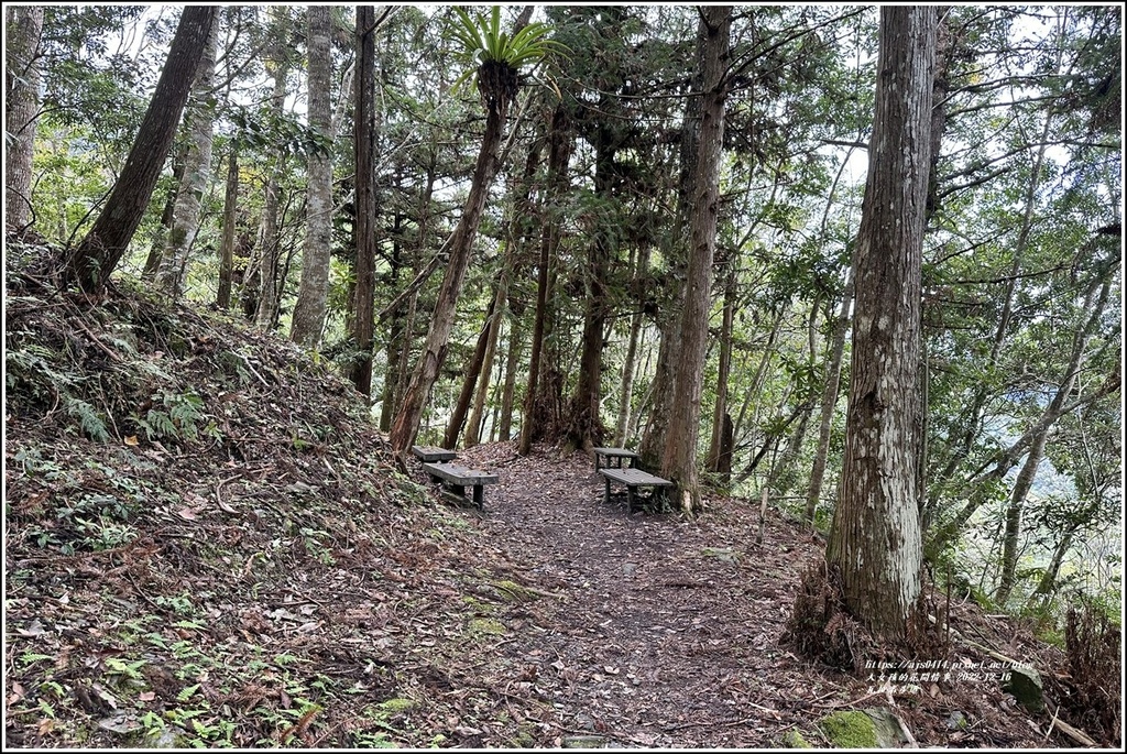 瓦拉米步道-2022-12-121.jpg 瓦拉米步道-2022-12-121.jpg