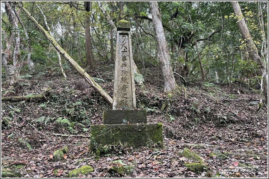 瓦拉米步道-2022-12-122.jpg 瓦拉米步道-2022-12-122.jpg