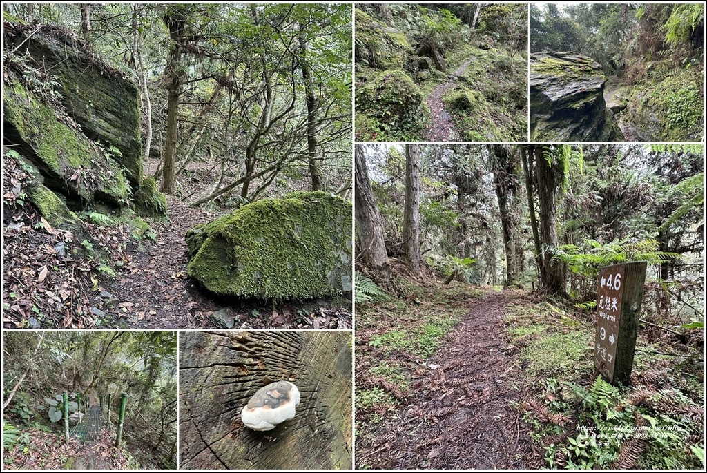 瓦拉米步道-2022-12-124.jpg 瓦拉米步道-2022-12-124.jpg