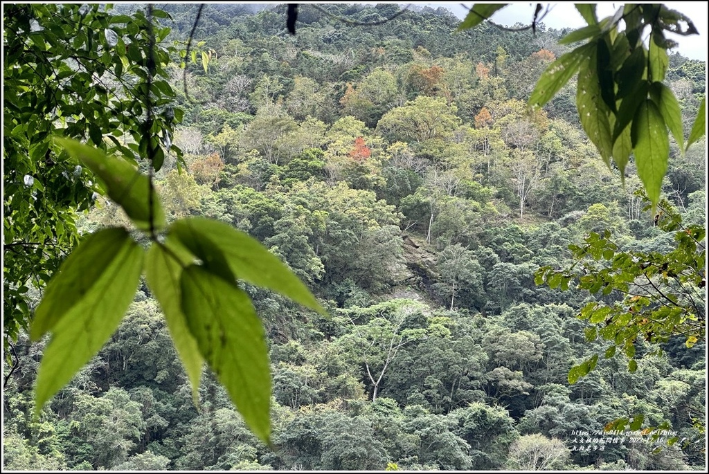 瓦拉米步道-2022-12-138.jpg 瓦拉米步道-2022-12-138.jpg