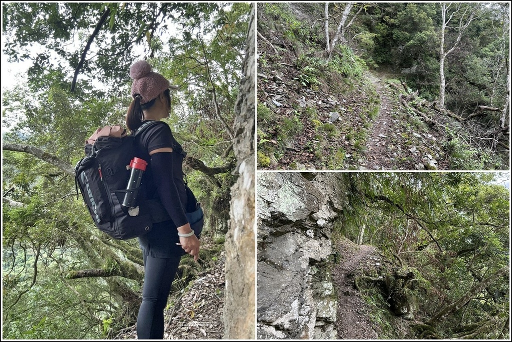 瓦拉米步道-2022-12-145.jpg 瓦拉米步道-2022-12-145.jpg