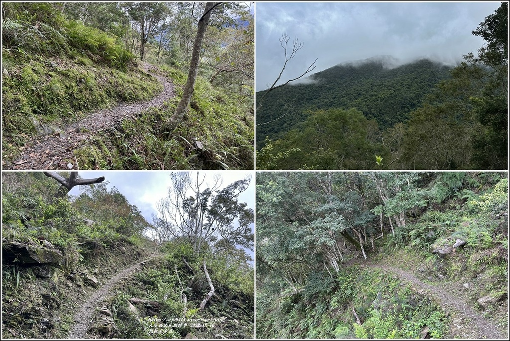 瓦拉米步道-2022-12-147.jpg 瓦拉米步道-2022-12-147.jpg