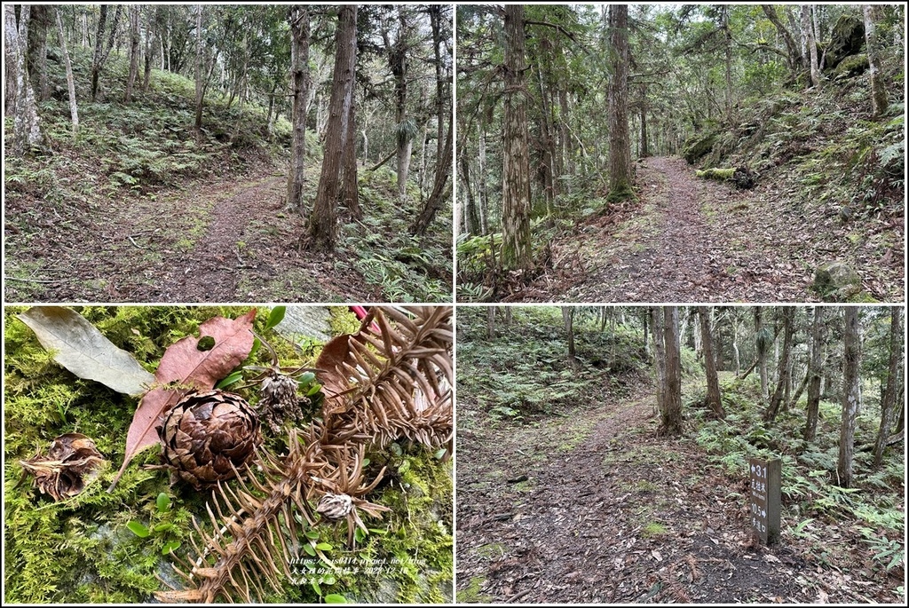 瓦拉米步道-2022-12-146.jpg 瓦拉米步道-2022-12-146.jpg