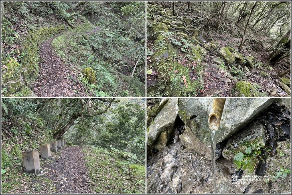 瓦拉米步道-2022-12-150.jpg 瓦拉米步道-2022-12-150.jpg