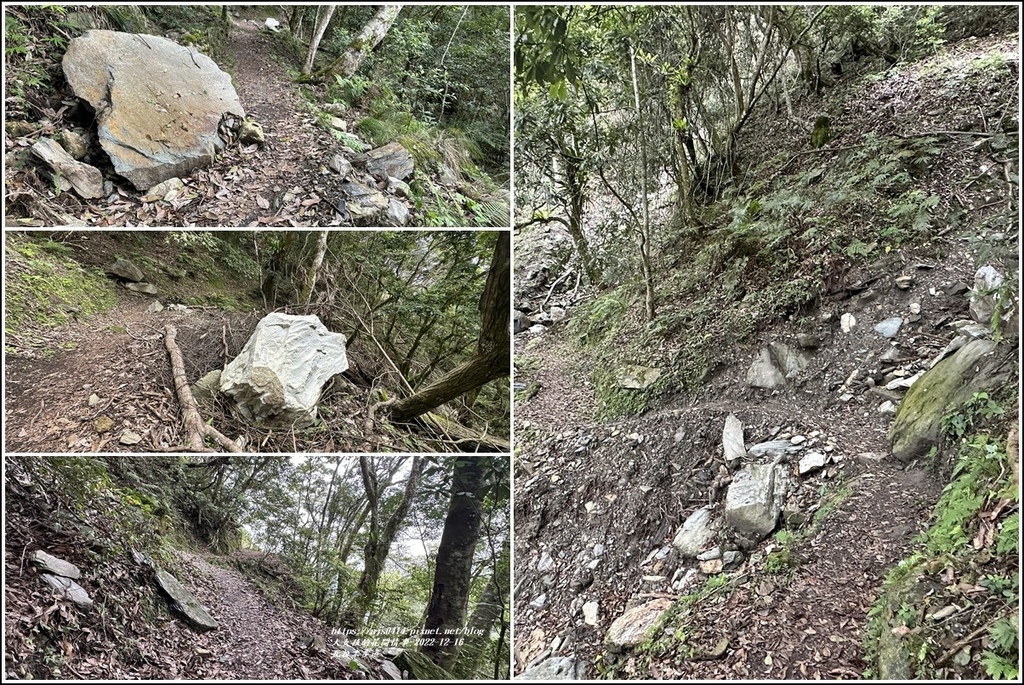 瓦拉米步道-2022-12-159.jpg 瓦拉米步道-2022-12-159.jpg